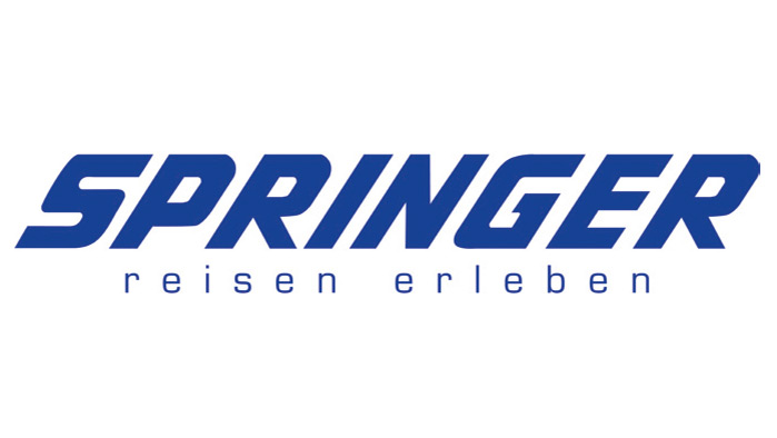 Logo Springer